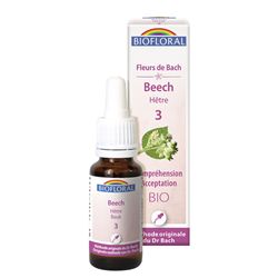BEECH 3 - 20ML