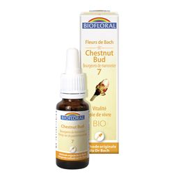 CHESTNUT BUD 7 - 20ML