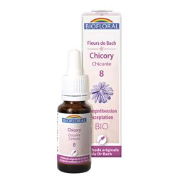 CHICORY 8 - 20ML