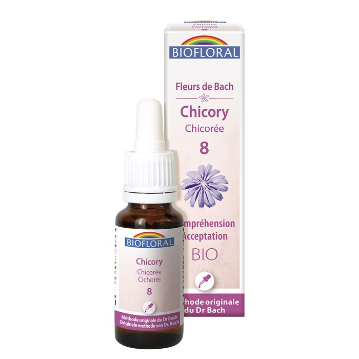 CHICORY 8 - 20ML CHICORY 8 - 20ML
