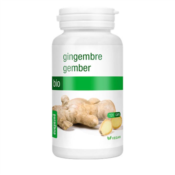 GINGEMBRE 60X250MG - PL176/342