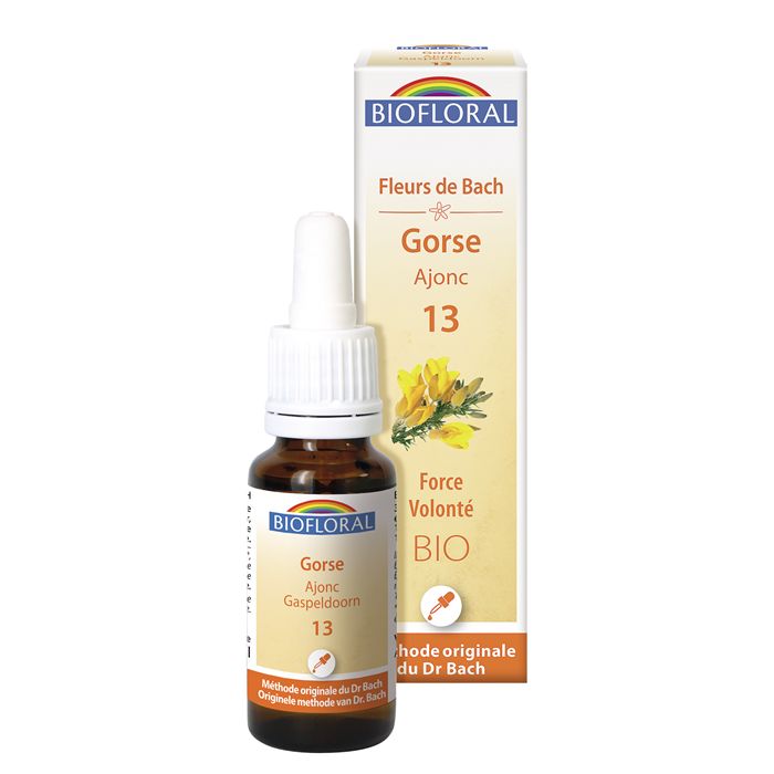 GORSE 13 - 20ML GORSE 13 - 20ML