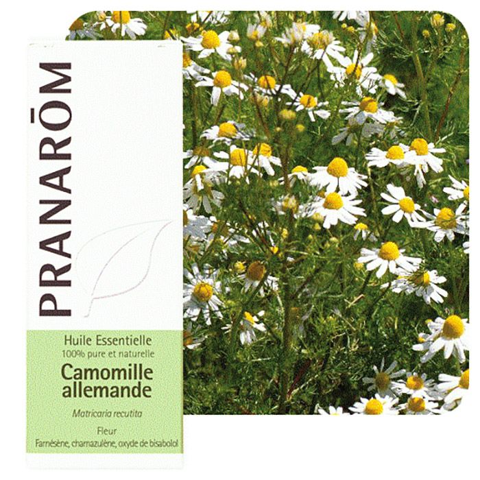 HECT CAMOMILLE ALLEMANDE 5ML HECT CAMOMILLE ALLEMANDE 5ML