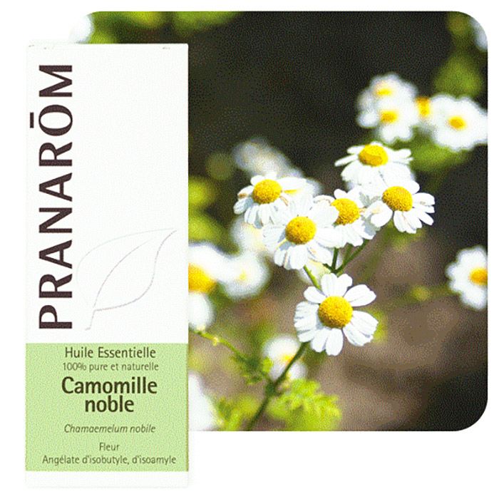 HECT CAMOMILLE NOBLE 5ML HECT CAMOMILLE NOBLE 5ML