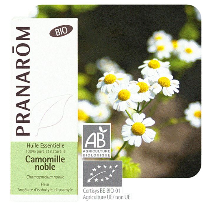 HECT CAMOMILLE NOBLE BIO 5ML HECT CAMOMILLE NOBLE BIO 5ML