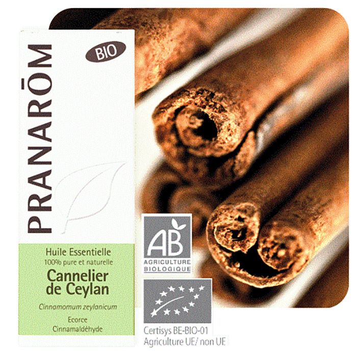 HECT CANNELIER DE CEYLAN BIO 5ML HECT CANNELIER DE CEYLAN BIO 5ML