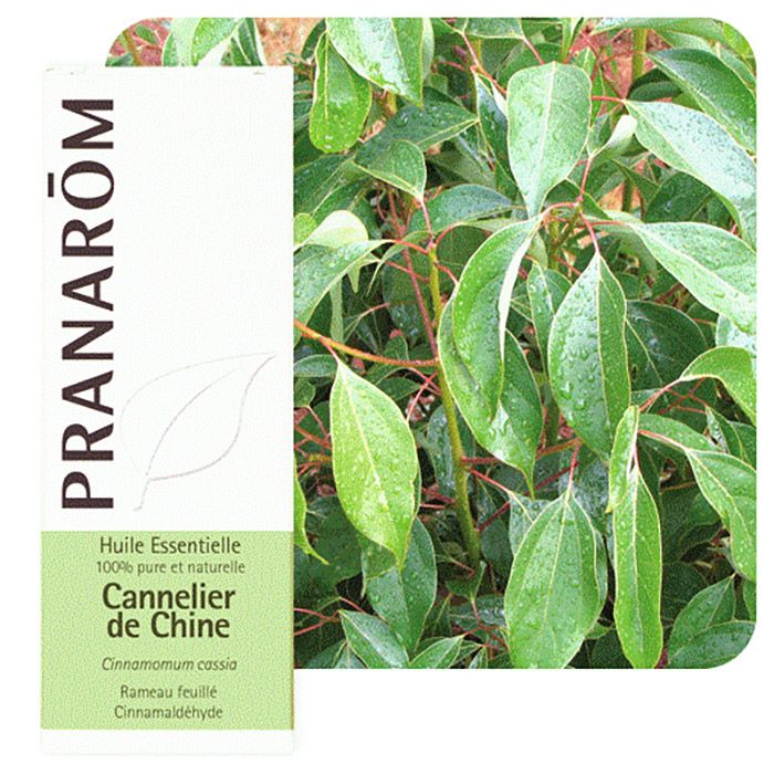 HECT CANNELIER DE CHINE 10ML HECT CANNELIER DE CHINE 10ML