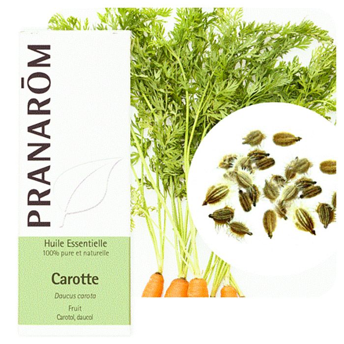 HECT CAROTTE 5ML HECT CAROTTE 5ML