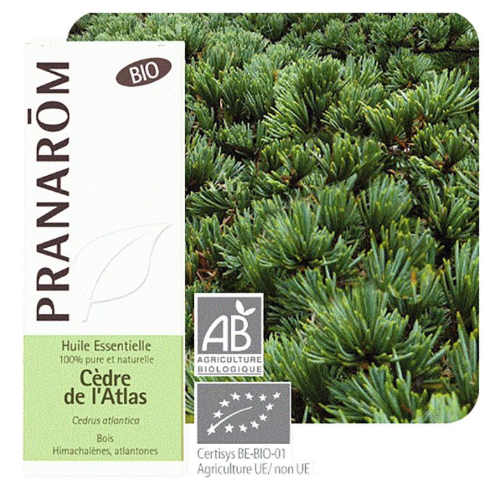 HECT CEDRE DE L'ATLAS BIO 10ML HECT CEDRE DE L'ATLAS BIO 10ML