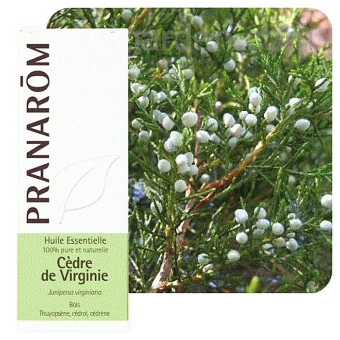 HECT CEDRE DE VIRGINIE 10ML HECT CEDRE DE VIRGINIE 10ML