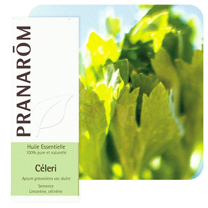 HECT CELERI SEMENCE 10ML HECT CELERI SEMENCE 10ML