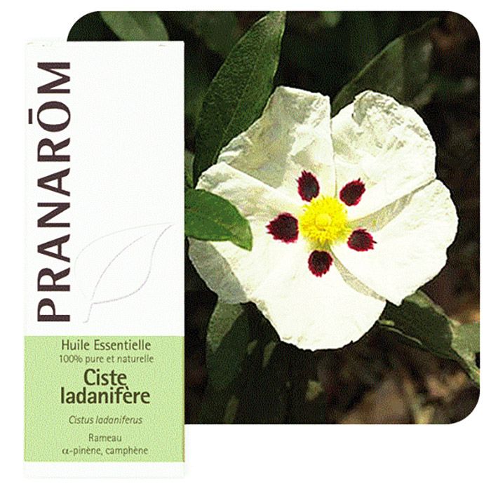 HECT CISTE LADANIFERE 5ML HECT CISTE LADANIFERE 5ML