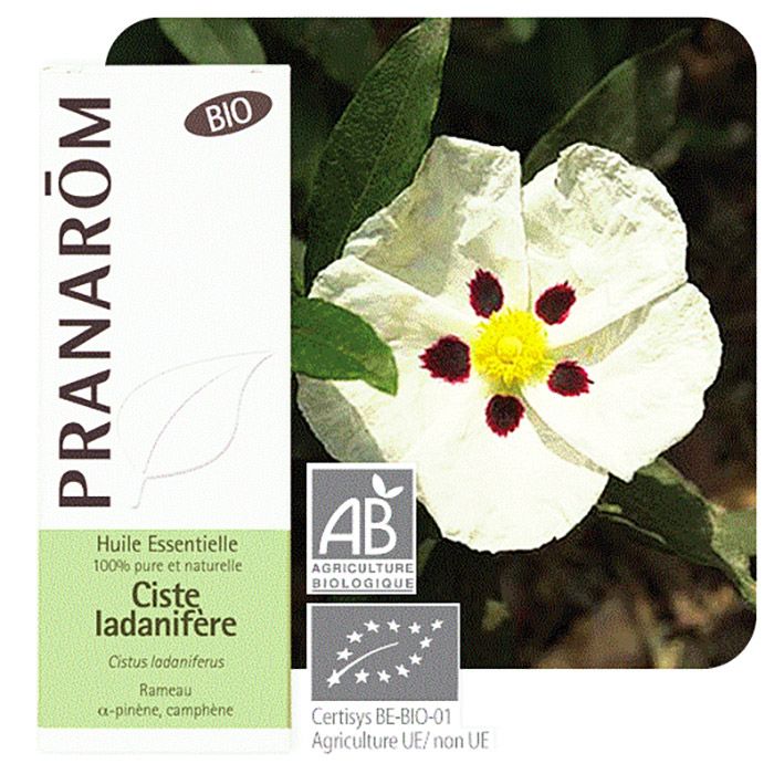 HECT CISTE LADANIFERE BIO 5ML HECT CISTE LADANIFERE BIO 5ML