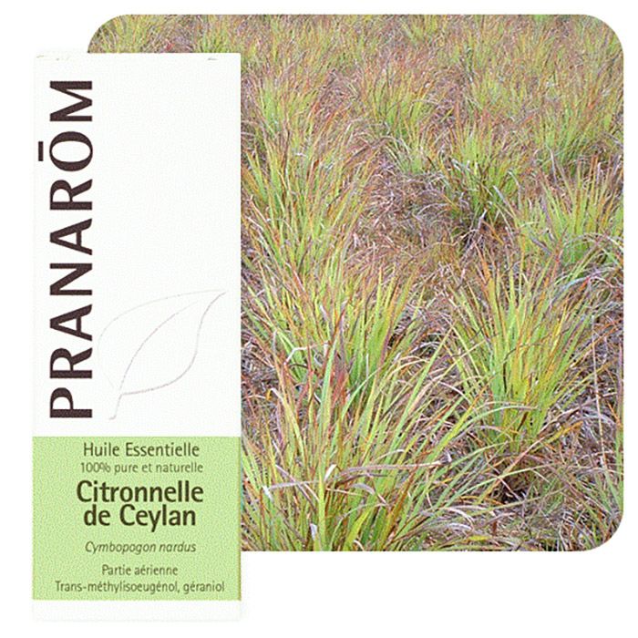 HECT CITRONNELLE DE CEYLAN 10ML HECT CITRONNELLE DE CEYLAN 10ML