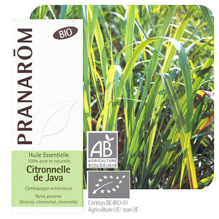 HECT CITRONNELLE DE JAVA BIO 10ML HECT CITRONNELLE DE JAVA BIO 10ML