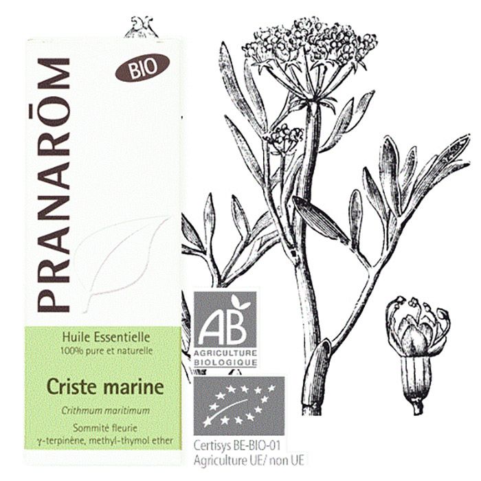 HECT CRISTE MARINE BIO 5ML HECT CRISTE MARINE BIO 5ML