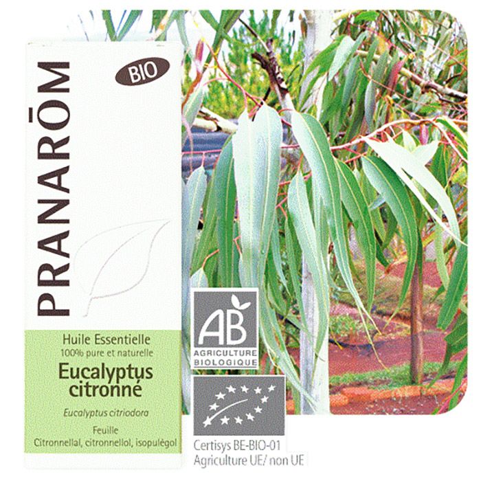 HECT EUCALYPTUS CITRONNE BIO 10ML HECT EUCALYPTUS CITRONNE BIO 10ML