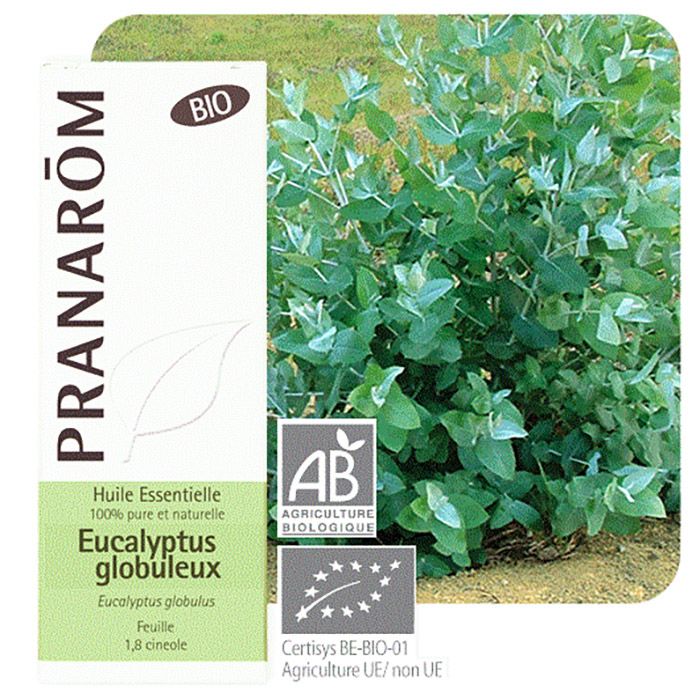 HECT EUCALYPTUS GLOBULEUX BIO 10ML HECT EUCALYPTUS GLOBULEUX BIO 10ML