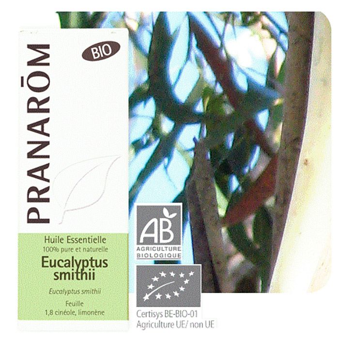 HECT EUCALYPTUS SMITHII BIO 10ML HECT EUCALYPTUS SMITHII BIO 10ML