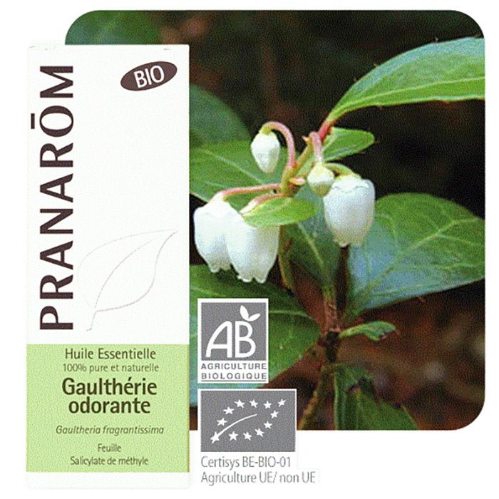 HECT GAULTHERIE ODORANTE BIO 10ML HECT GAULTHERIE ODORANTE BIO 10ML