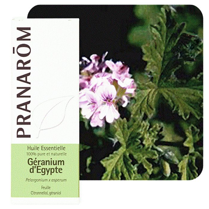 HECT GERANIUM EGYPTE 10ML HECT GERANIUM EGYPTE 10ML