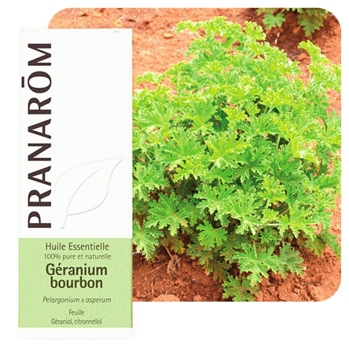 HECT GERANIUM ROSAT CT BOURBON 10ML HECT GERANIUM ROSAT CT BOURBON 10ML