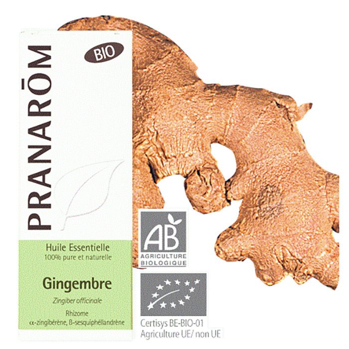 HECT GINGEMBRE BIO 5ML HECT GINGEMBRE BIO 5ML