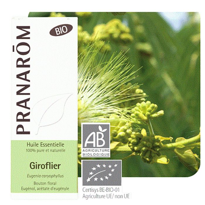 HECT GIROFLIER BOUTON FLORAL BIO 10ML HECT GIROFLIER BOUTON FLORAL BIO 10ML