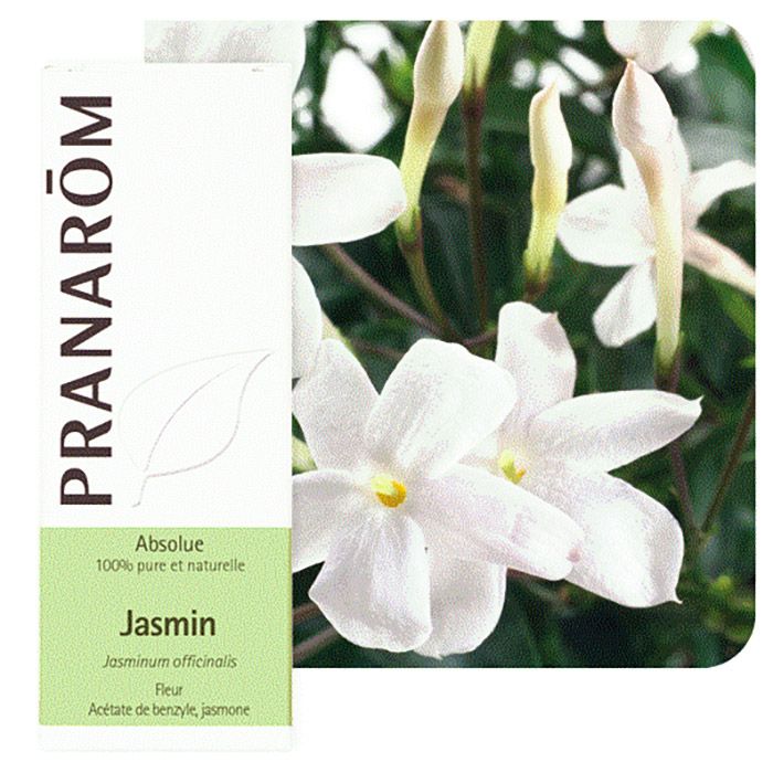 HECT JASMIN ABSOLUE 5ML HECT JASMIN ABSOLUE 5ML