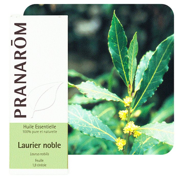 HECT LAURIER NOBLE 5ML HECT LAURIER NOBLE 5ML