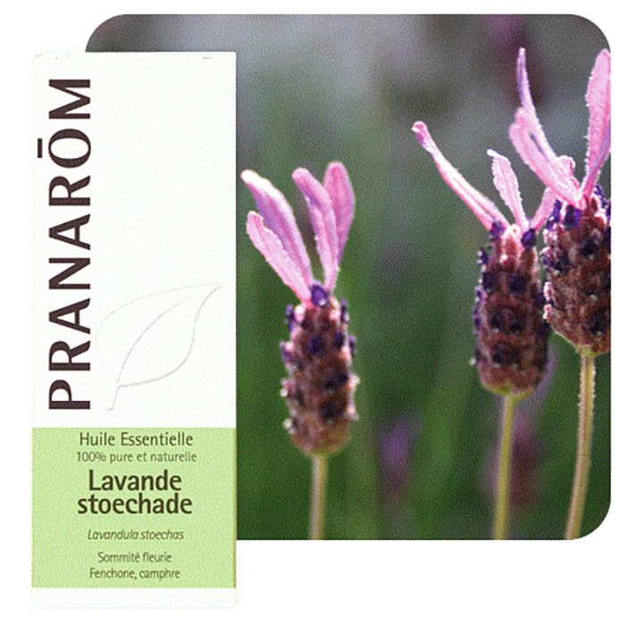 HECT LAVANDE PAPILLON/ STOECHADE 10ML HECT LAVANDE PAPILLON/ STOECHADE 10ML