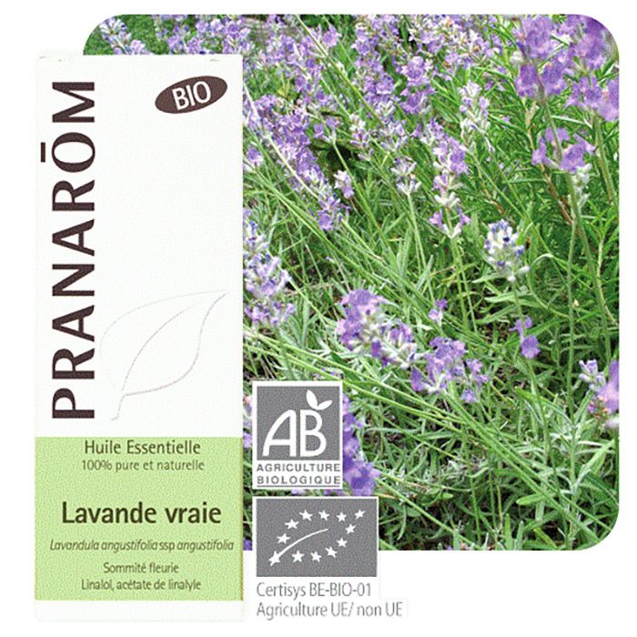 HECT LAVANDE VRAIE BIO 10ML HECT LAVANDE VRAIE BIO 10ML