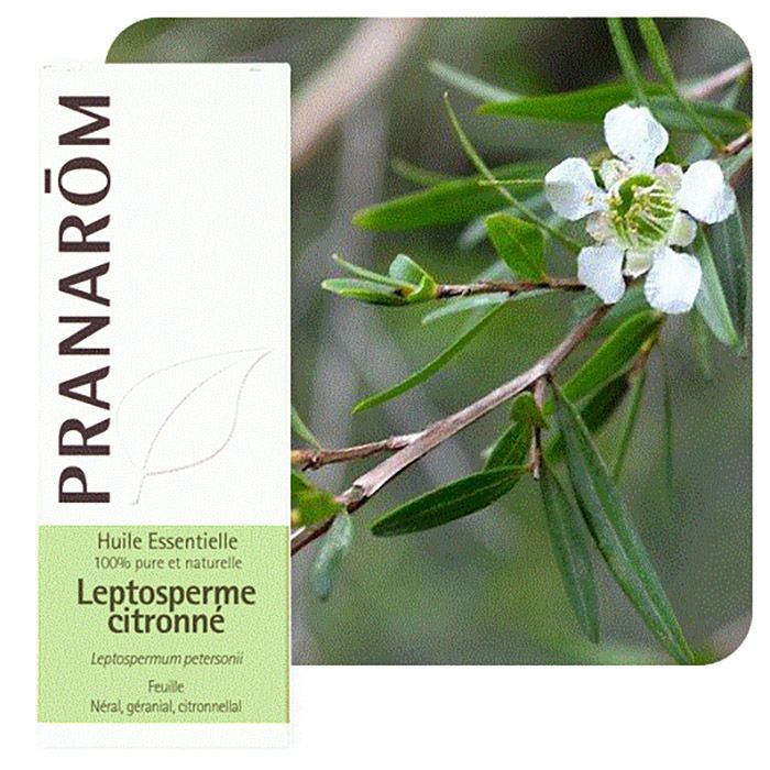 HECT LEPTOSPERME CITRONNE 5ML HECT LEPTOSPERME CITRONNE 5ML