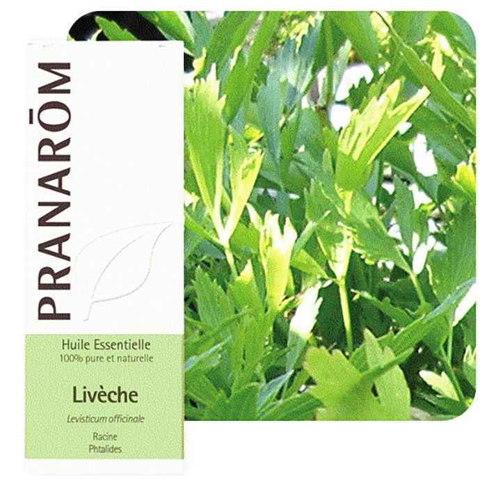 HECT LIVECHE 5ML HECT LIVECHE 5ML