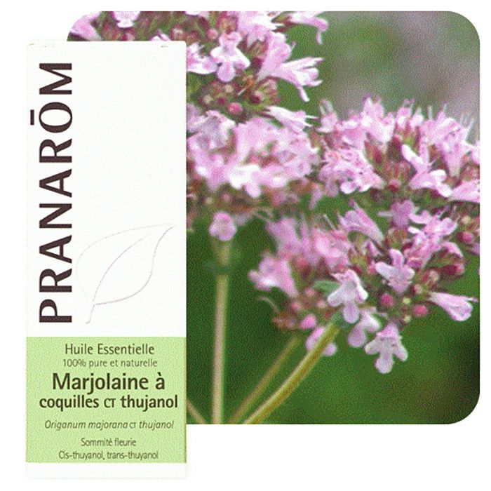 HECT MARJOLAINE A COQUILLE CT THUJANOL 5ML HECT MARJOLAINE A COQUILLE CT THUJANOL 5ML