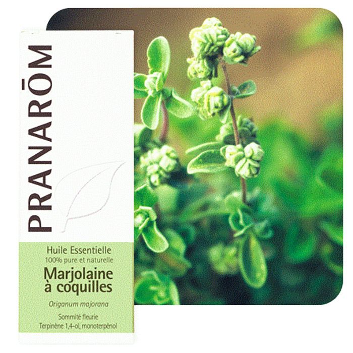 HECT MARJOLAINE A COQUILLES 5ML HECT MARJOLAINE A COQUILLES 5ML
