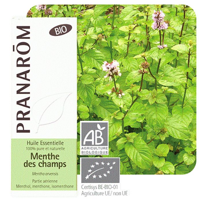 HECT MENTHE DES CHAMPS 10ML HECT MENTHE DES CHAMPS 10ML