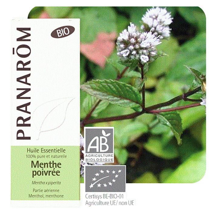 HECT MENTHE POIVREE BIO 10ML HECT MENTHE POIVREE BIO 10ML