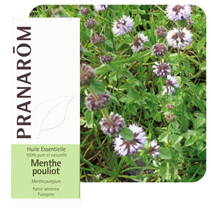 HECT MENTHE POULIOT 10ML HECT MENTHE POULIOT 10ML