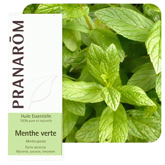 HECT MENTHE VERTE 10ML HECT MENTHE VERTE 10ML