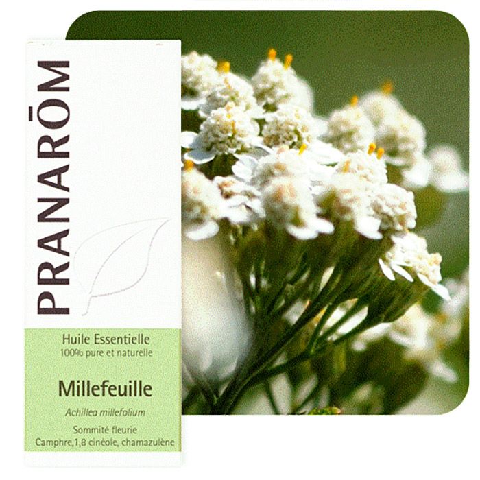 HECT MILLEFEUILLE 5ML HECT MILLEFEUILLE 5ML