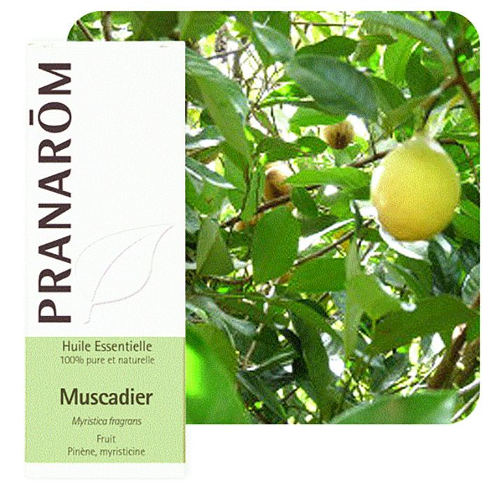 HECT MUSCADIER FRUIT 10ML HECT MUSCADIER FRUIT 10ML