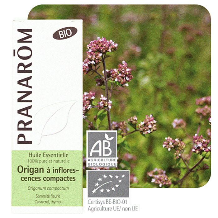 HECT ORIGAN COMPACTE BIO 10ML HECT ORIGAN COMPACTE BIO 10ML