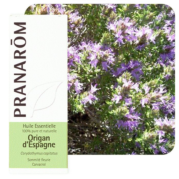 HECT ORIGAN D'ESPAGNE 5ML HECT ORIGAN D'ESPAGNE 5ML