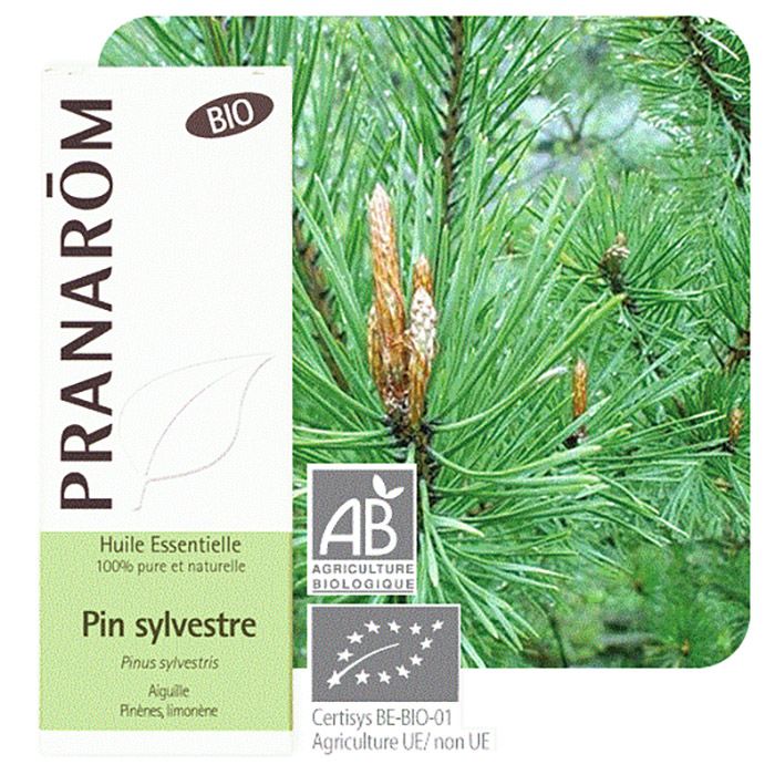 HECT PIN SYLVESTRE 10ML BIO HECT PIN SYLVESTRE 10ML BIO