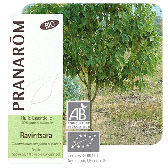 HECT RAVINTSARA 10ML BIO HECT RAVINTSARA 10ML BIO