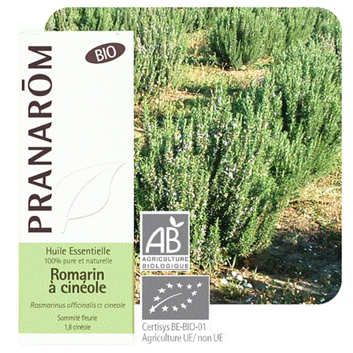 HECT ROMARIN CINEOLE BIO 10ML/CT2 HECT ROMARIN CINEOLE BIO 10ML/CT2