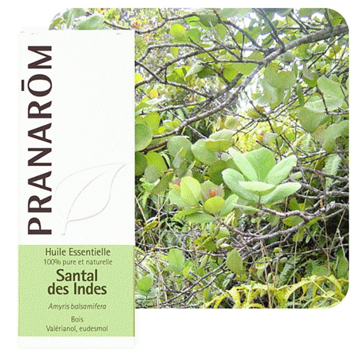 HECT SANTAL DES INDES 10ML HECT SANTAL DES INDES 10ML