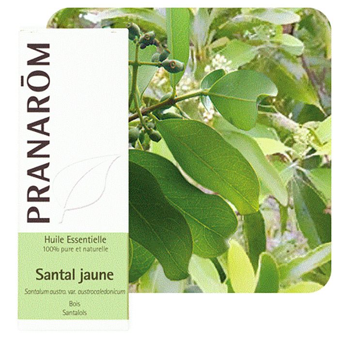 HECT SANTAL JAUNE BIO 5ML HECT SANTAL JAUNE BIO 5ML