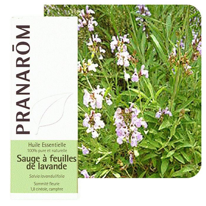 HECT SAUGE A FEUILLES DE LAVANDE BIO 10ML HECT SAUGE A FEUILLES DE LAVANDE BIO 10ML